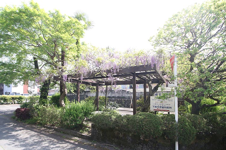 中庭